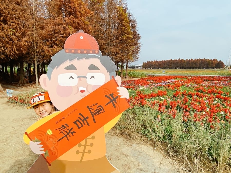 台南 六甲落羽松,一秒飛到歪國去!