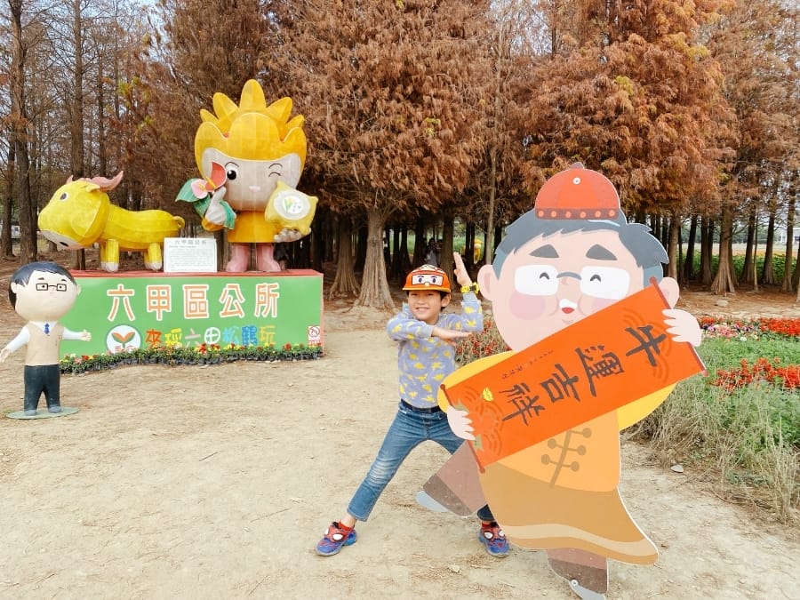 台南 六甲落羽松,一秒飛到歪國去!