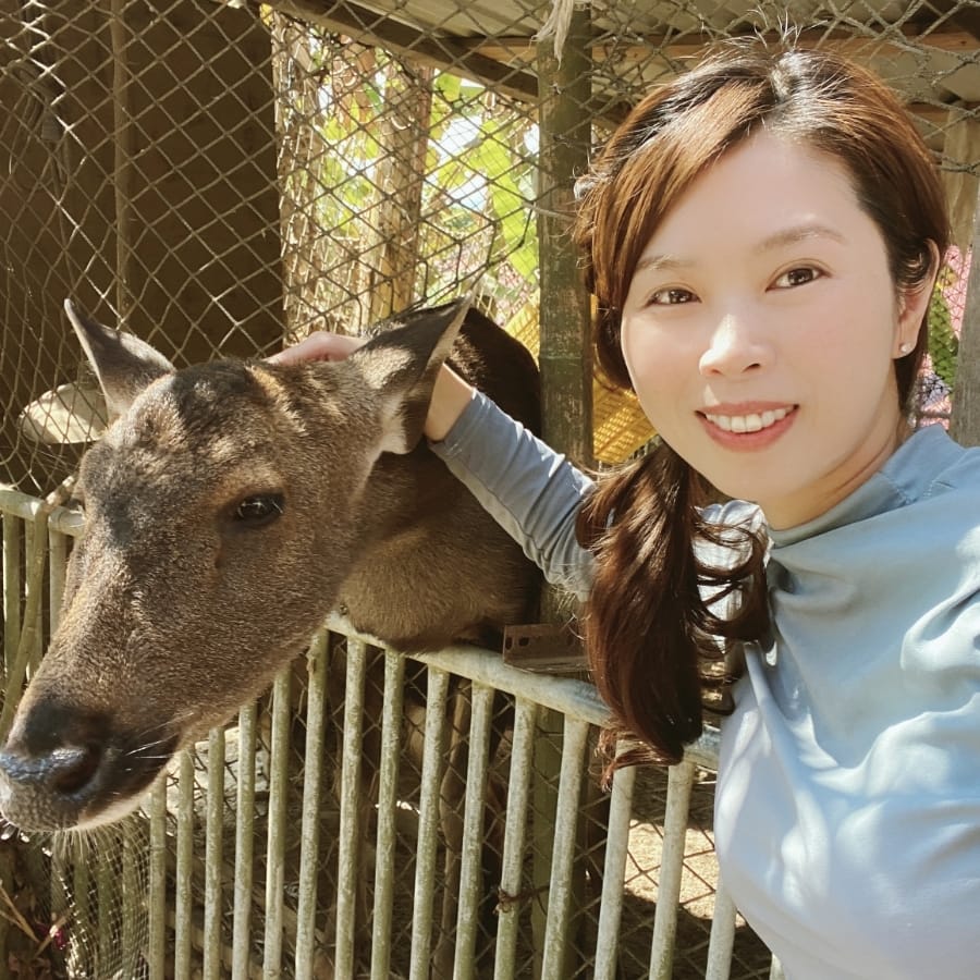 308高地龍船山莊土雞城,看動物、玩遊戲設施、吃山雞,親近大自然的好所在!