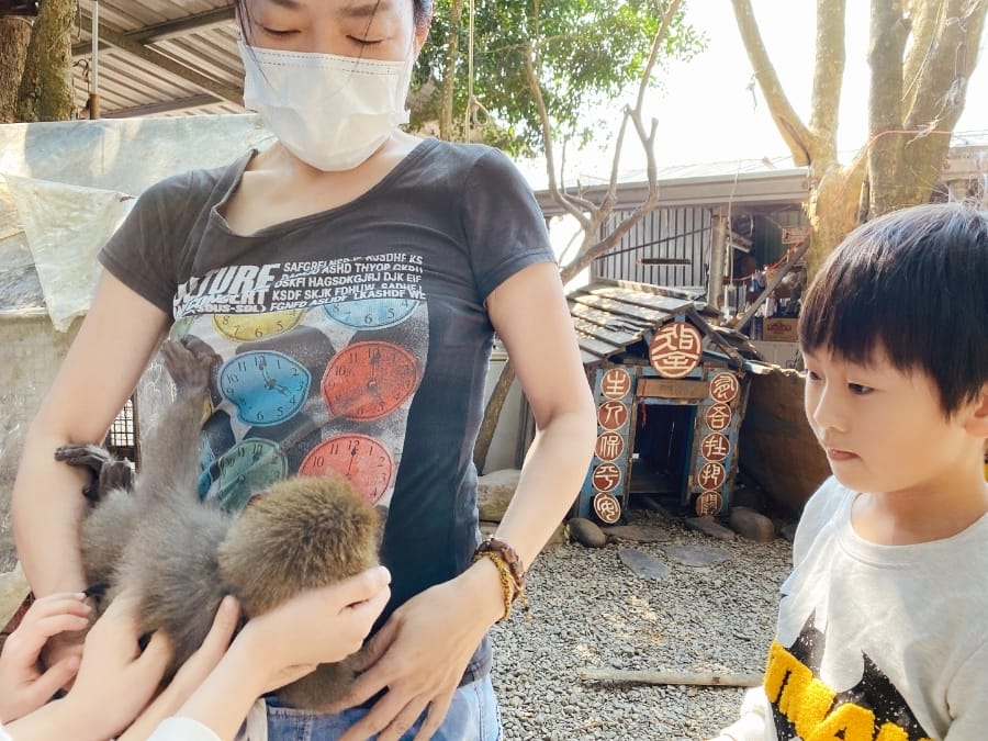 308高地龍船山莊土雞城,看動物、玩遊戲設施、吃山雞,親近大自然的好所在!