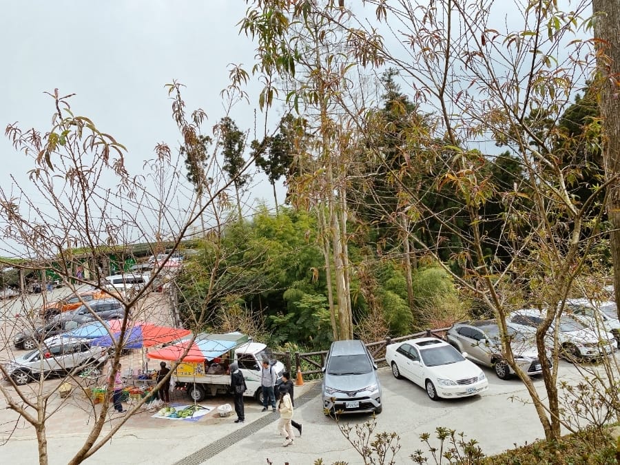 雲林草嶺天空步道/珈溪園綠莊，享用竹筒飯大餐，櫻花山嵐繚繞在身旁！