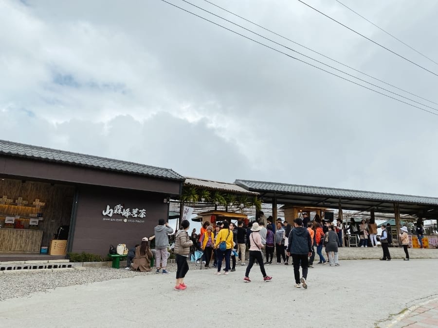 雲林草嶺天空步道/珈溪園綠莊，享用竹筒飯大餐，櫻花山嵐繚繞在身旁！