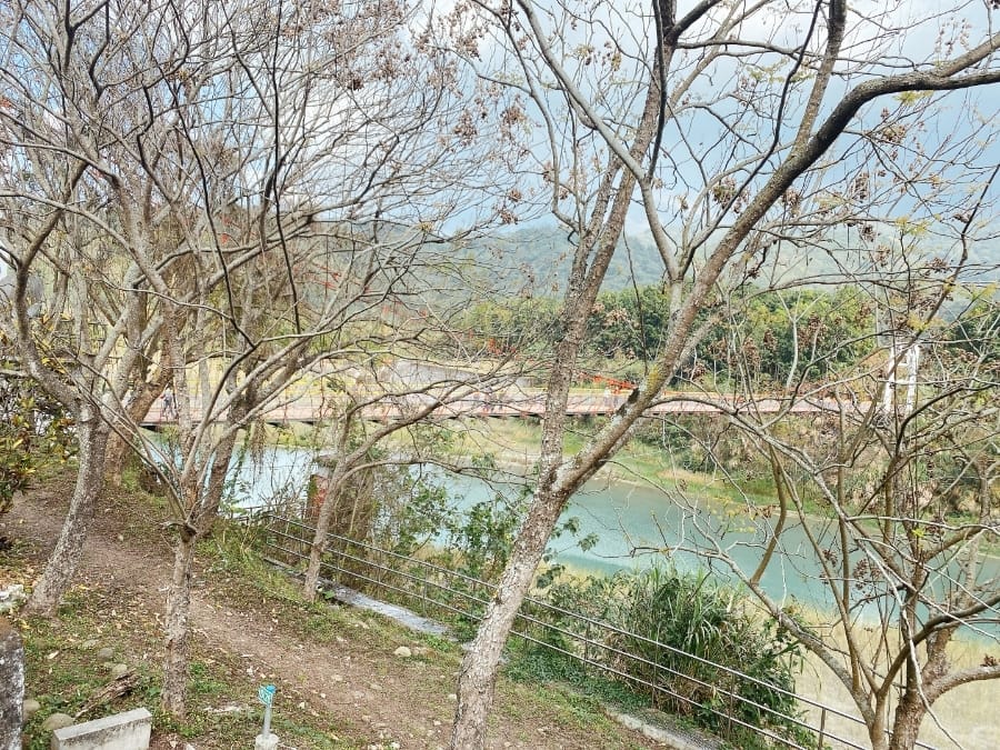 雲林草嶺天空步道/珈溪園綠莊，享用竹筒飯大餐，櫻花山嵐繚繞在身旁！
