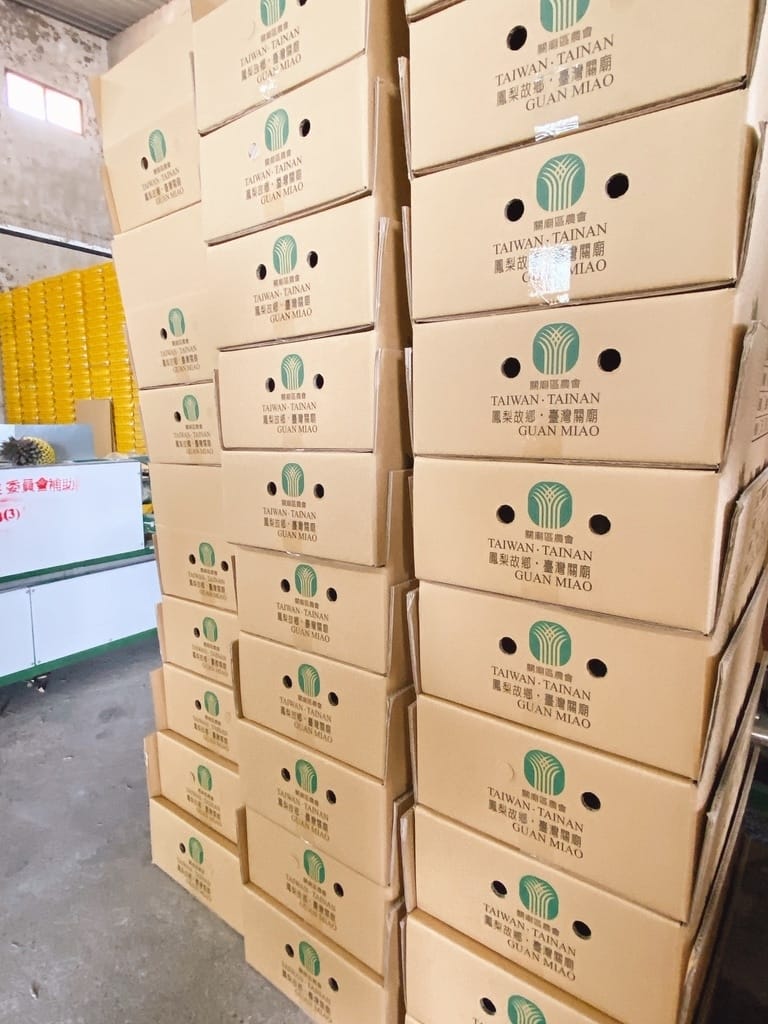 山城的鳳梨田故事~臺南市鳳梨產地參訪,細看鳳梨的華麗變身!