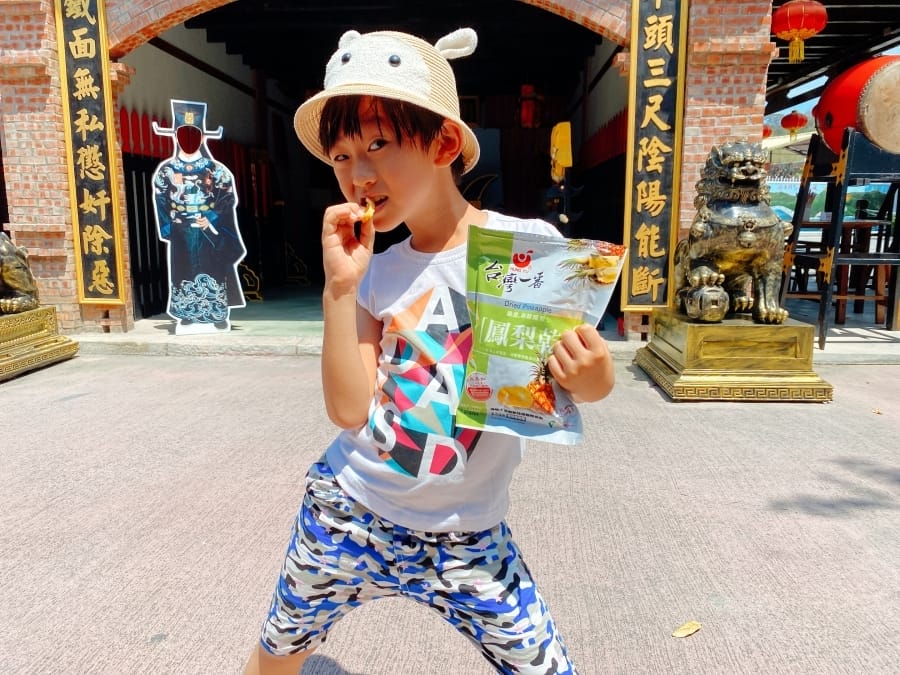 山城的鳳梨田故事~臺南市鳳梨產地參訪,細看鳳梨的華麗變身!