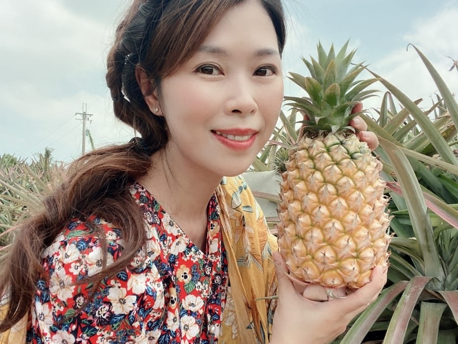 山城的鳳梨田故事~臺南市鳳梨產地參訪,細看鳳梨的華麗變身!