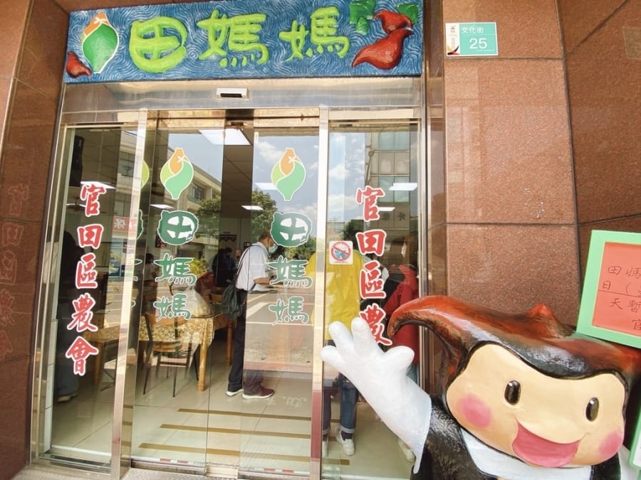 山城的鳳梨田故事~臺南市鳳梨產地參訪,細看鳳梨的華麗變身!
