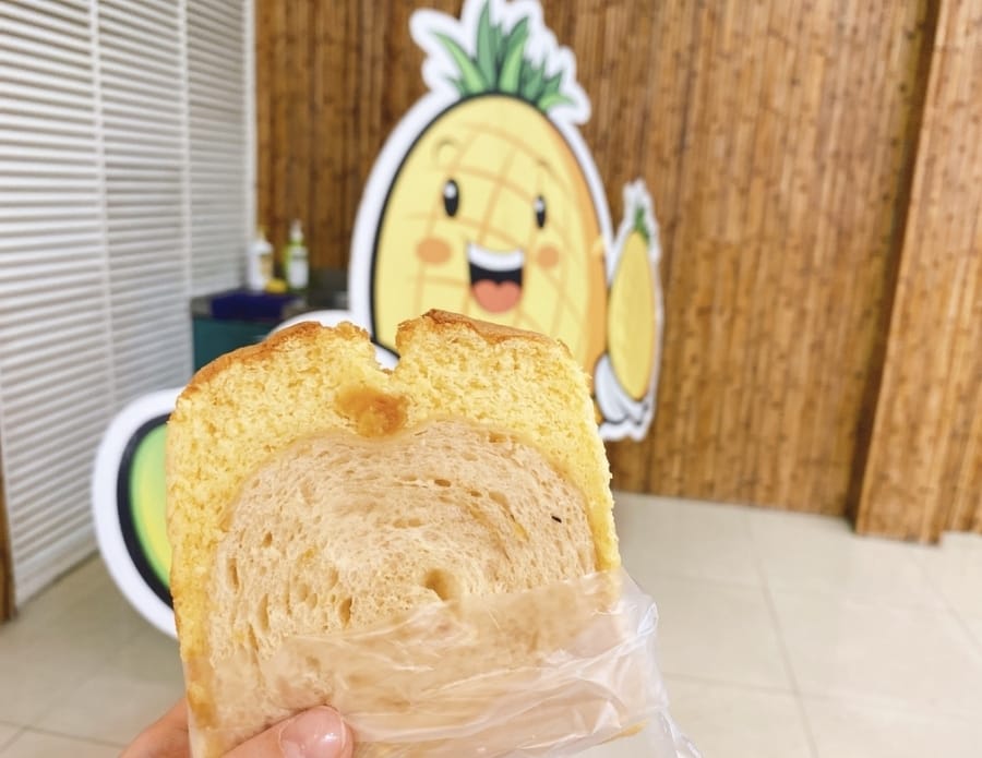 山城的鳳梨田故事~臺南市鳳梨產地參訪,細看鳳梨的華麗變身!
