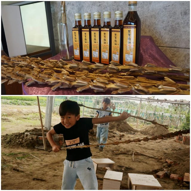 ［住宿］南科贊美酒店L’arc Hotel~親子套裝行程，漆彈、焢窯、採果、阿嬤菜園/善化牛墟/南科考古館