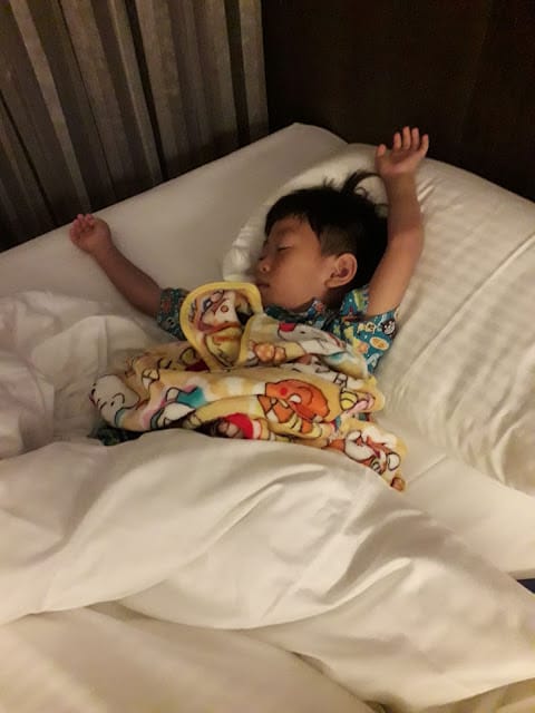 ［住宿］南科贊美酒店L’arc Hotel~親子套裝行程，漆彈、焢窯、採果、阿嬤菜園/善化牛墟/南科考古館