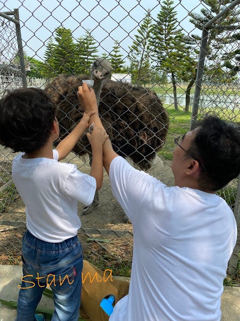 台南世外桃源~春園親子農場,親子遊玩勝地!