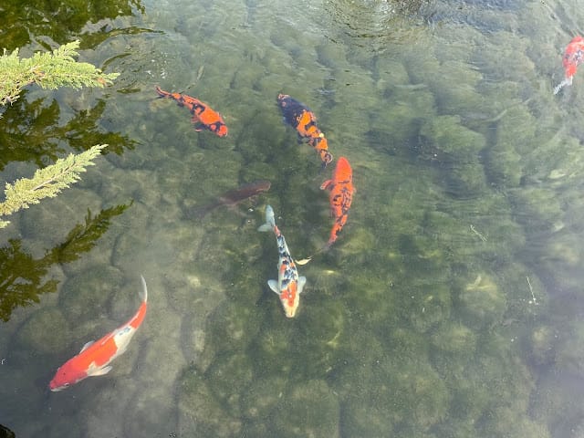 [親子旅遊]彰化/永靖 成美文化園,感受唐式園林之美!年獸來了x成美揮毫x版畫秘密大公開