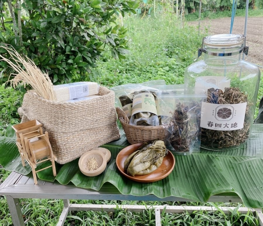 屏東好農懶人包大集合～十口滋味、繁華麵、牛角灣巧克力咖啡農園、春四大地有善農場、三魚一羊複合餐廳、林峰藝術工作室，把五感用力打開去～
