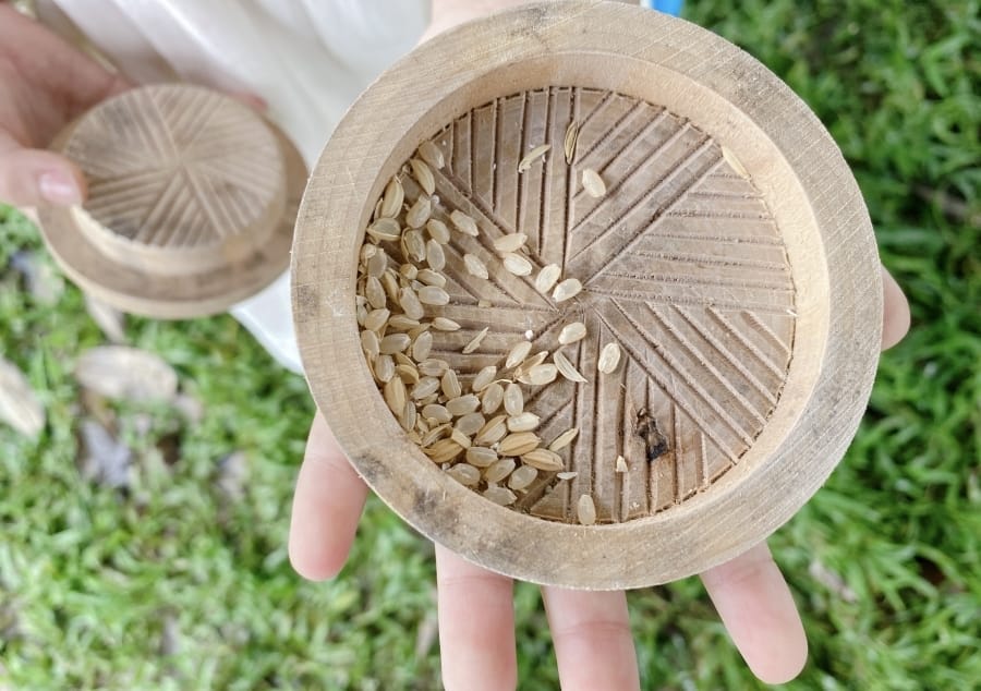 屏東好農懶人包大集合～十口滋味、繁華麵、牛角灣巧克力咖啡農園、春四大地有善農場、三魚一羊複合餐廳、林峰藝術工作室，把五感用力打開去～