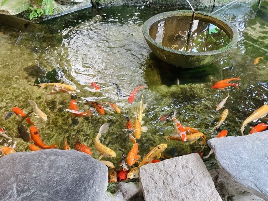 屏東好農懶人包大集合～十口滋味、繁華麵、牛角灣巧克力咖啡農園、春四大地有善農場、三魚一羊複合餐廳、林峰藝術工作室，把五感用力打開去～