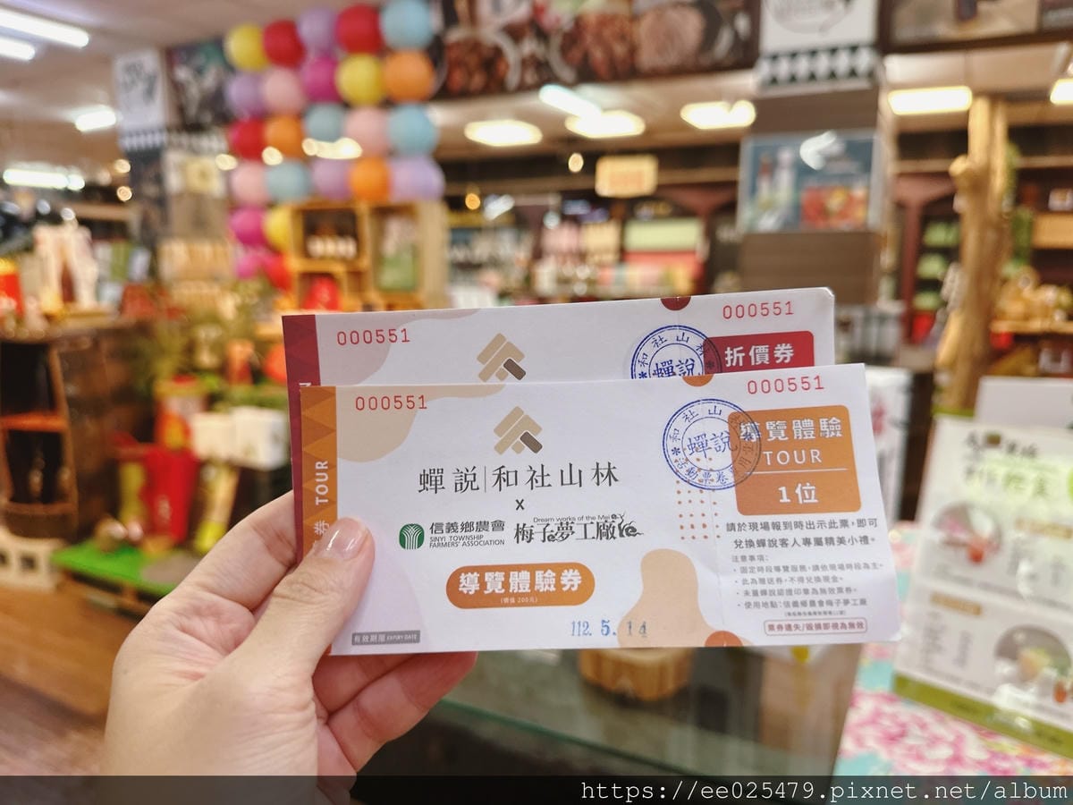 南投|蟬說 和社山林 讓孩子輕鬆擁抱大自然,親子這樣玩最健康 南投|蟬說 和社山林 讓孩子輕鬆擁抱大自然,親子這樣玩最健康