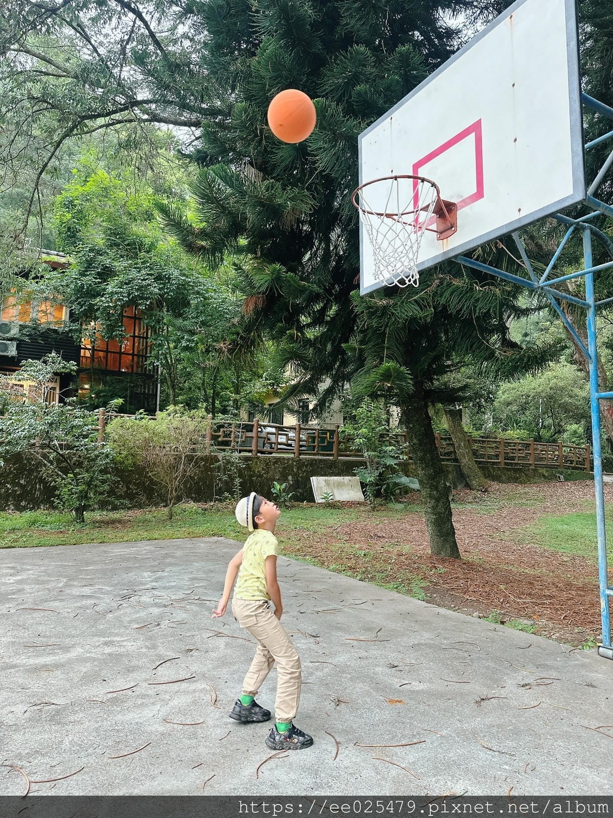 南投|蟬說 和社山林 讓孩子輕鬆擁抱大自然,親子這樣玩最健康 南投|蟬說 和社山林 讓孩子輕鬆擁抱大自然,親子這樣玩最健康