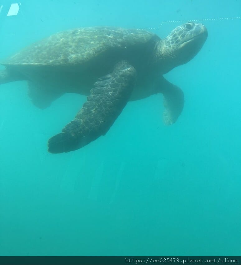 懶人變玩家 跟著 奧拓 Outo 琉浪南國的島嶼密旅 3 懶人變玩家 跟著 奧拓 Outo 琉浪南國的島嶼密旅 3