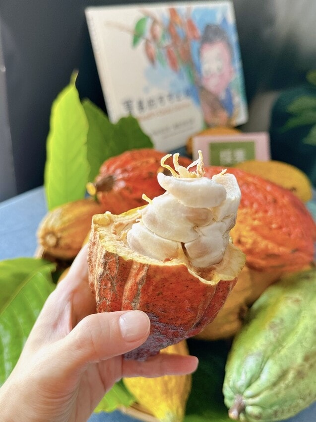 沉浸在可可的世界裡,快抓住冬天的尾巴來一趟屏東可可莊園小旅行~ - 第6張圖 沉浸在可可的世界裡,快抓住冬天的尾巴來一趟屏東可可莊園小旅行~