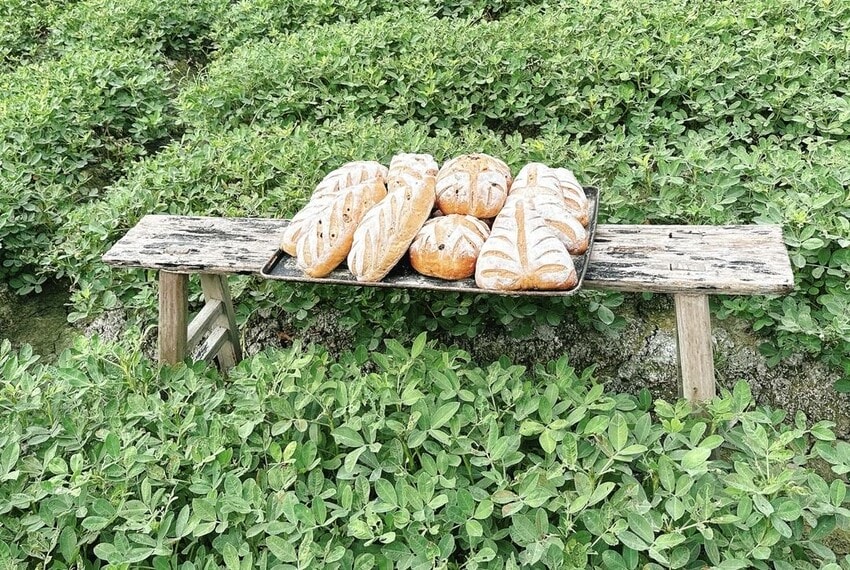 雲林花生尋根之旅 跟著花生WAY尋覓大隊走遍鹿窯柴燒窯烤麵包、R角甜點、三房咖啡、元長/北港/虎尾農會，好事一定會花生！