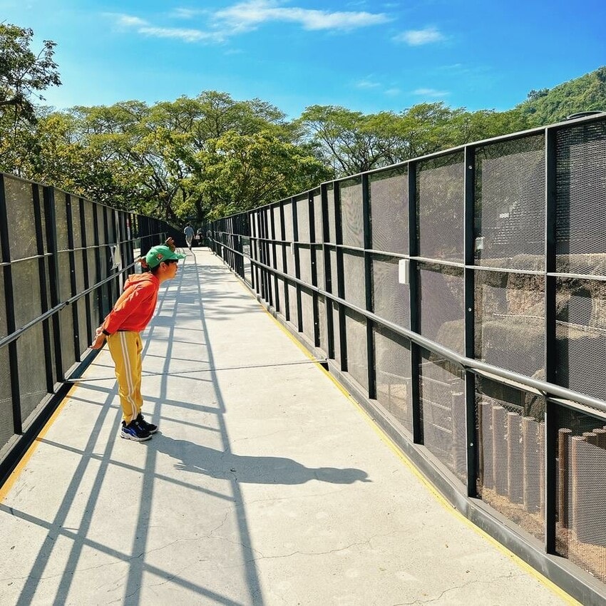 壽山動物園新玩法!探索壽山新世界 5G科技新體驗,一起深入動物圈,成為動物們的好朋友吧! - 第29張圖 壽山動物園新玩法!探索壽山新世界 5G科技新體驗,一起深入動物圈,成為動物們的好朋友吧!