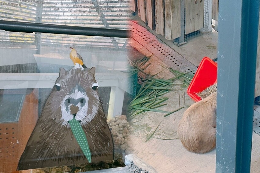 壽山動物園新玩法!探索壽山新世界 5G科技新體驗,一起深入動物圈,成為動物們的好朋友吧! - 第27張圖 壽山動物園新玩法!探索壽山新世界 5G科技新體驗,一起深入動物圈,成為動物們的好朋友吧!