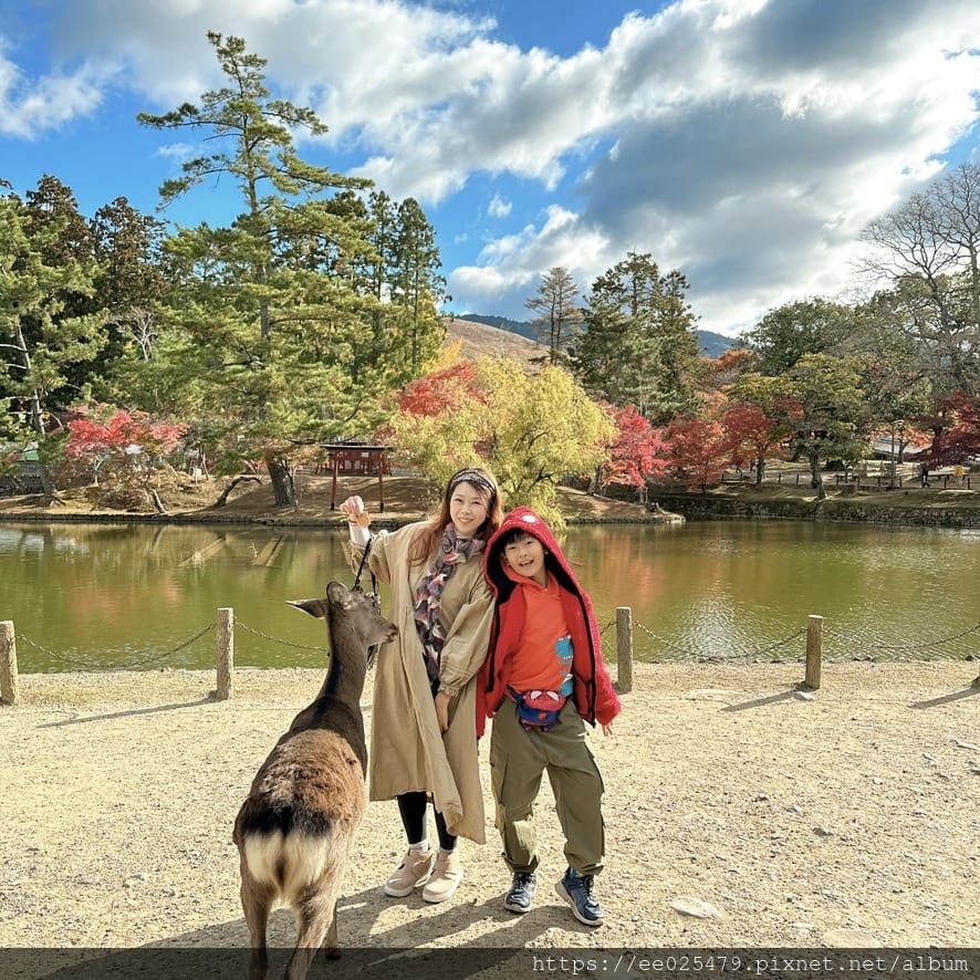 日本大阪、名古屋親子旅遊必玩景點～日本賞楓、大阪環球影城、樂