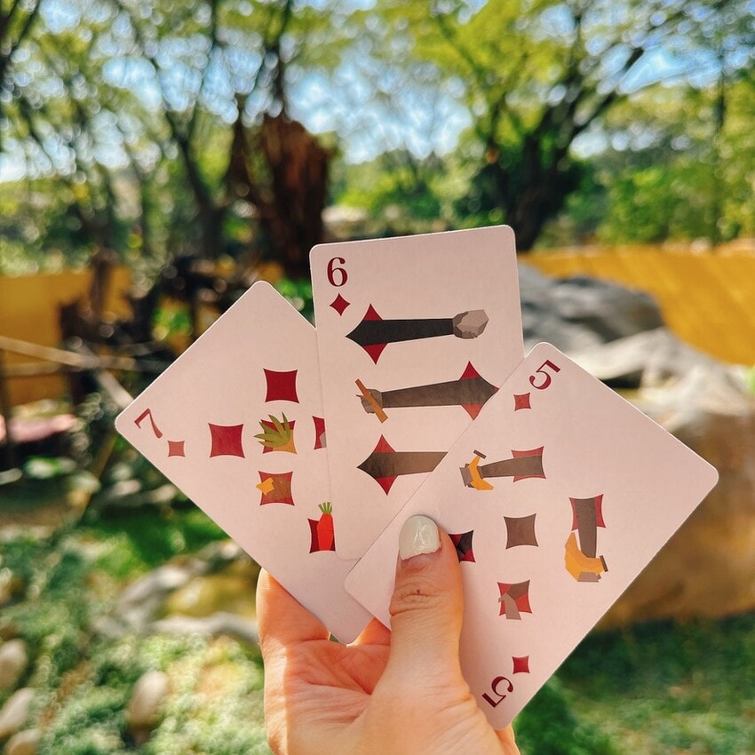 壽山動物園新玩法!探索壽山新世界 5G科技新體驗,一起深入動物圈,成為動物們的好朋友吧! - 第11張圖 壽山動物園新玩法!探索壽山新世界 5G科技新體驗,一起深入動物圈,成為動物們的好朋友吧!