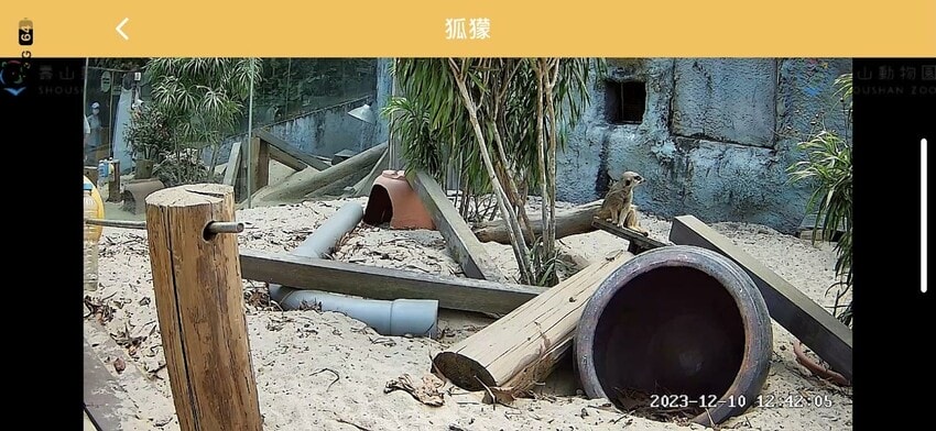 壽山動物園新玩法！探索壽山新世界 5G科技新體驗，一起深入動物圈，成為動物們的好朋友吧！