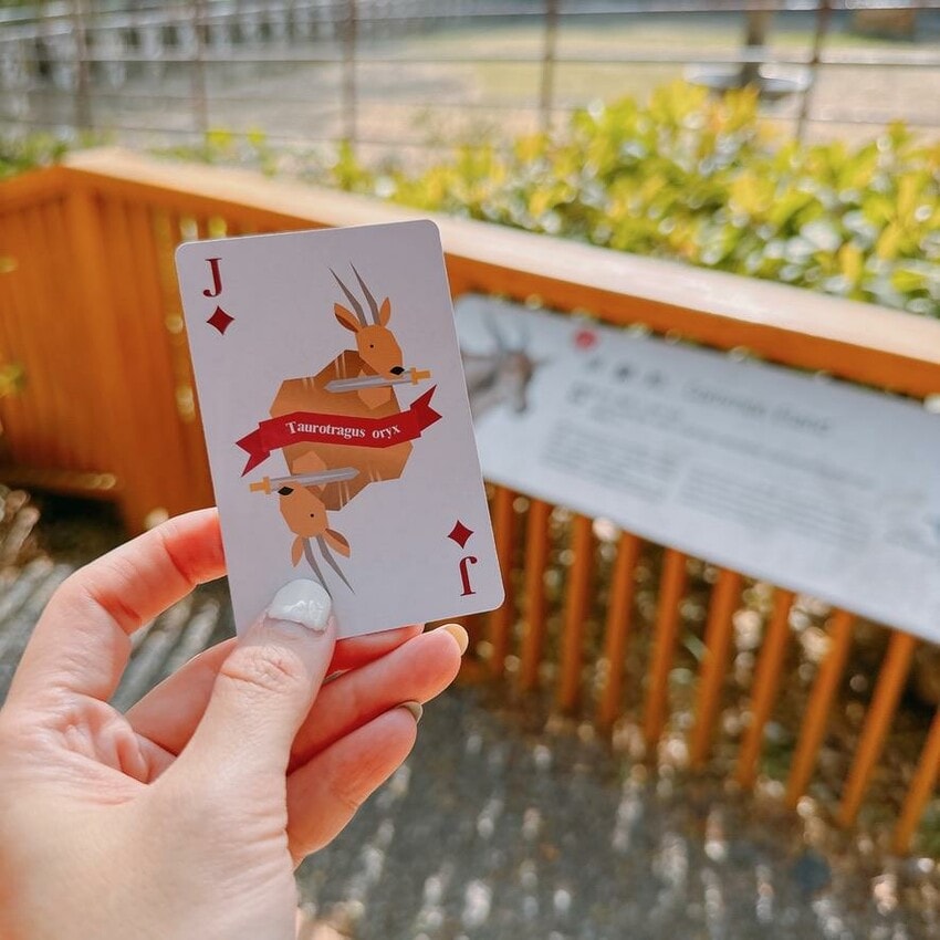 壽山動物園新玩法！探索壽山新世界 5G科技新體驗，一起深入動物圈，成為動物們的好朋友吧！