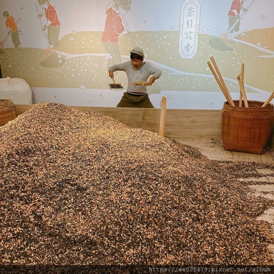 親子景點推薦 臺灣客家茶文化館 探索世界各國的茶文化，輕鬆變