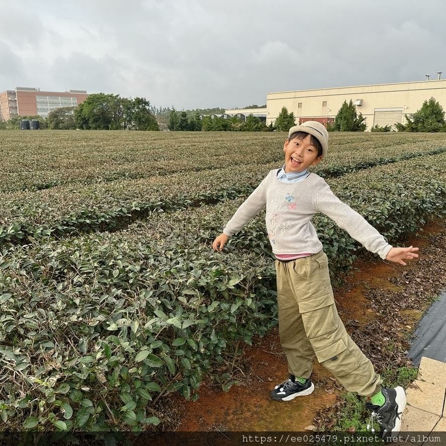 親子景點推薦 臺灣客家茶文化館 探索世界各國的茶文化,輕鬆變 親子景點推薦 臺灣客家茶文化館 探索世界各國的茶文化,輕鬆變