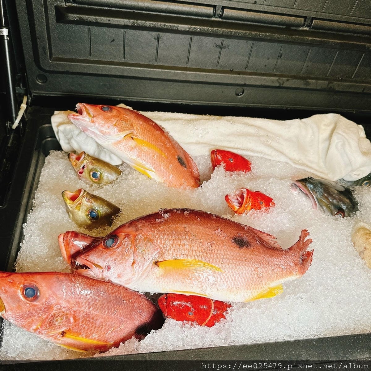 最適合商務、聚餐相揪前來的 鯨炭吉串燒居酒屋,吃好吃飽一定今 最適合商務、聚餐相揪前來的 鯨炭吉串燒居酒屋,吃好吃飽一定今