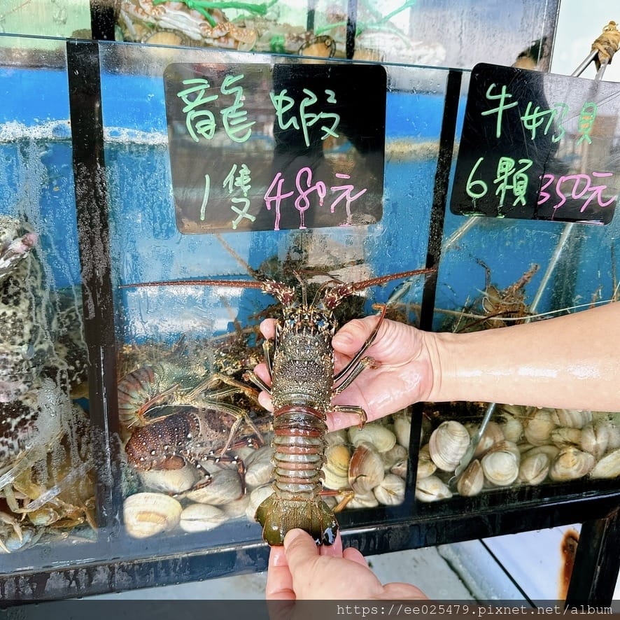 不再擔心活跳海鮮料理貴鬆鬆!新北海鮮 鮮滿樓海鮮料理一口價, 不再擔心活跳海鮮料理貴鬆鬆!新北海鮮 鮮滿樓海鮮料理一口價,