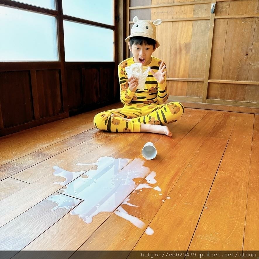 Dyson Digital Slim Submarine™吸塵器， 輕量乾濕洗地吸塵器，Dyson NF42吸塵器，Dyson NF42 洗地機，dyson吸塵器，吸塵器推薦，無線吸塵器，洗地機推薦，乾濕兩用吸塵器，塵蟎吸塵器，濕拖吸塵器推薦，洗地吸塵器，輕量吸塵器推薦，吸塵器，洗地機
