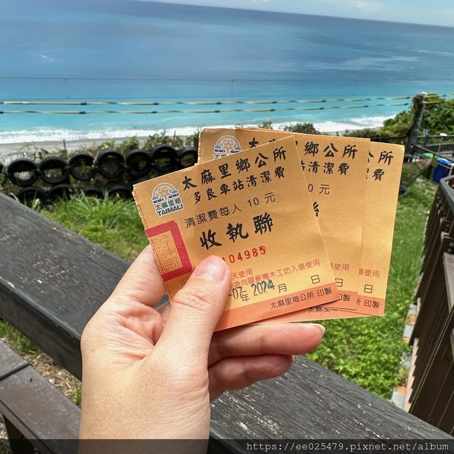 太麻里有哪些好吃好玩？一起手拉手走訪太麻里網美景點和餐廳，追