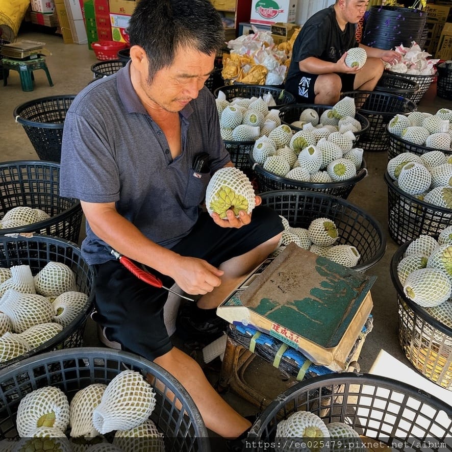 太麻里有哪些好吃好玩？一起手拉手走訪太麻里網美景點和餐廳，追