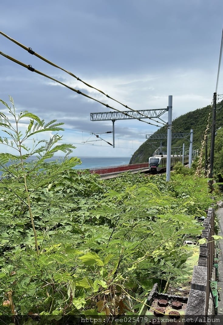 太麻里有哪些好吃好玩？一起手拉手走訪太麻里網美景點和餐廳，追