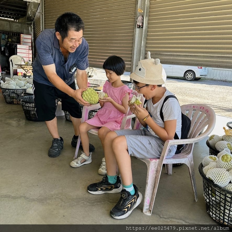 太麻里有哪些好吃好玩？一起手拉手走訪太麻里網美景點和餐廳，追