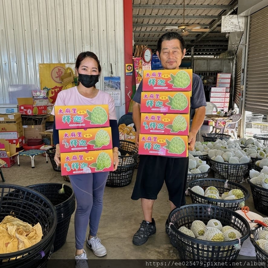 太麻里有哪些好吃好玩？一起手拉手走訪太麻里網美景點和餐廳，追
