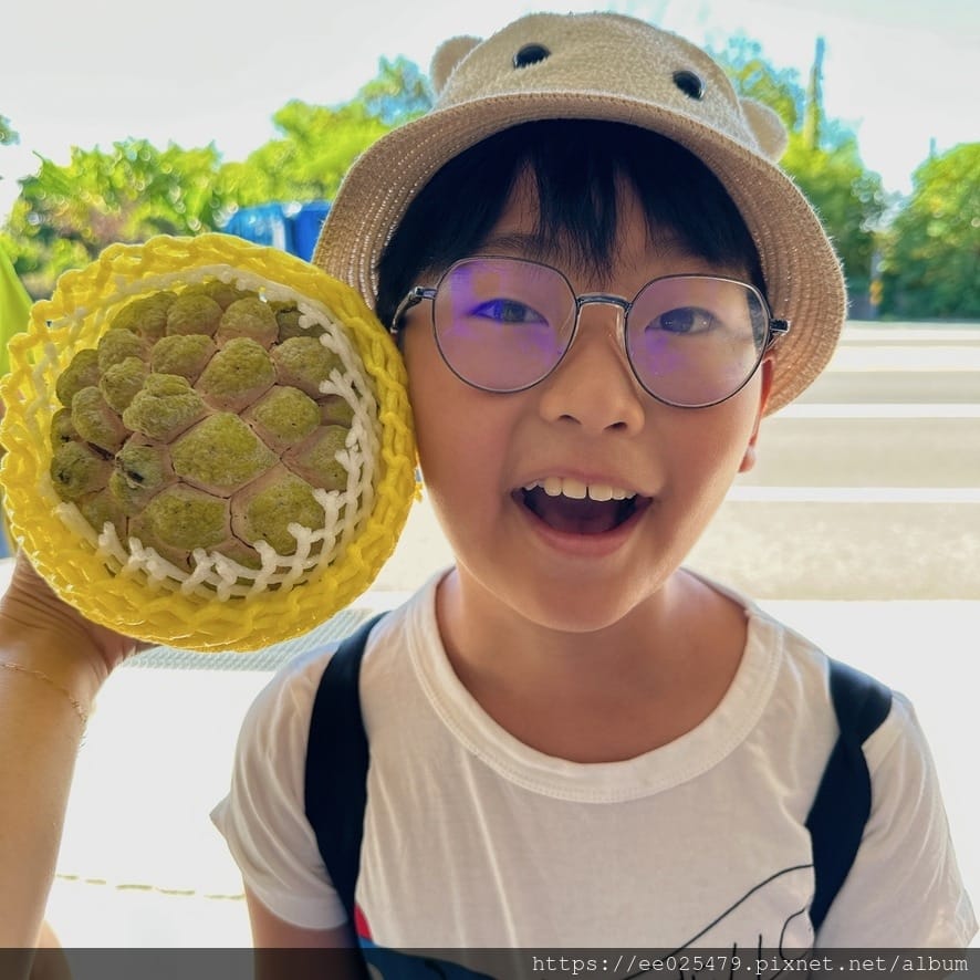 太麻里有哪些好吃好玩？一起手拉手走訪太麻里網美景點和餐廳，追