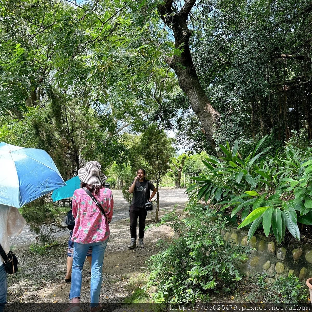 雲林景點 私人園邸開放啦!到三秀園享用精緻午餐、走入首任大埤 雲林景點 私人園邸開放啦!到三秀園享用精緻午餐、走入首任大埤