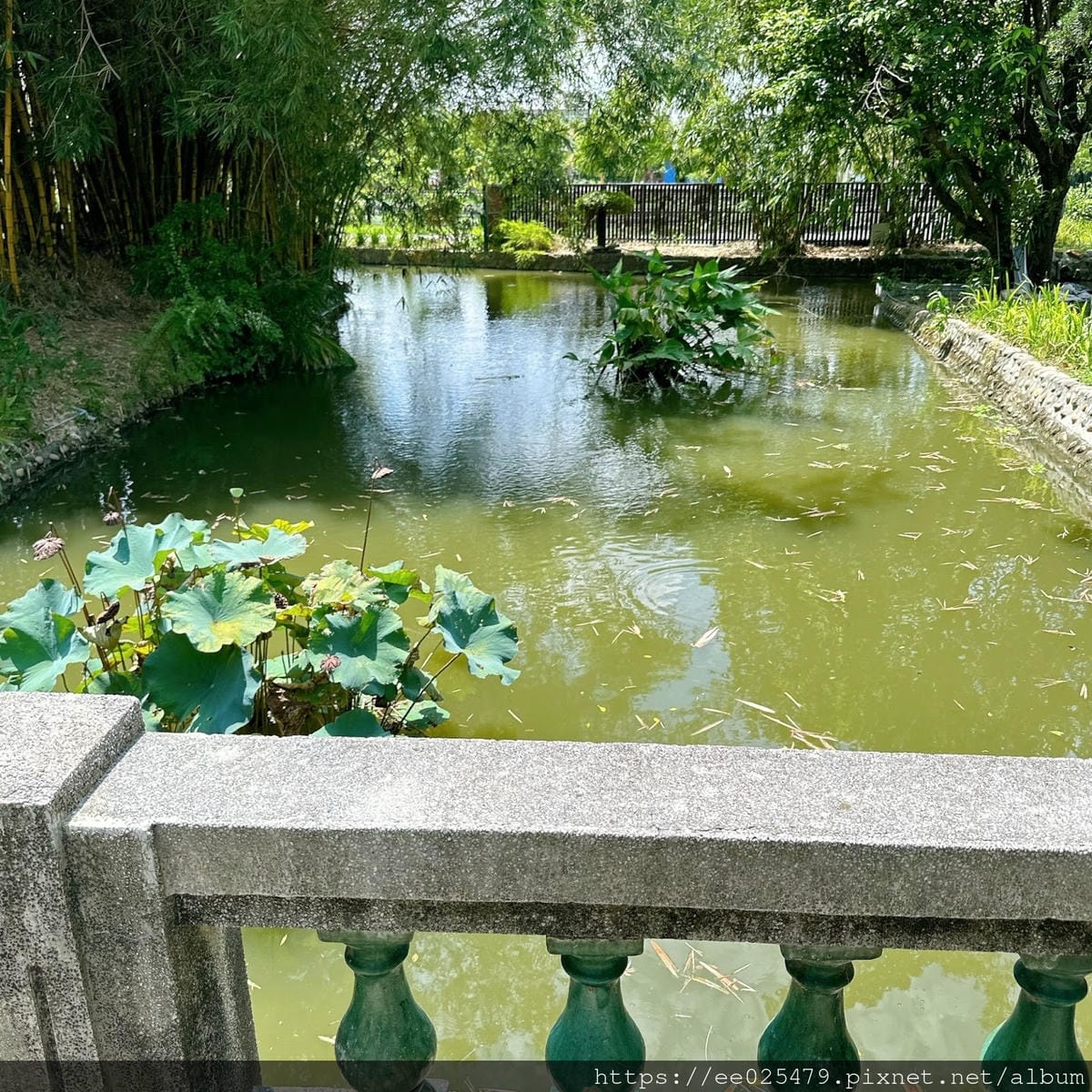 雲林景點 私人園邸開放啦！到三秀園享用精緻午餐、走入首任大埤