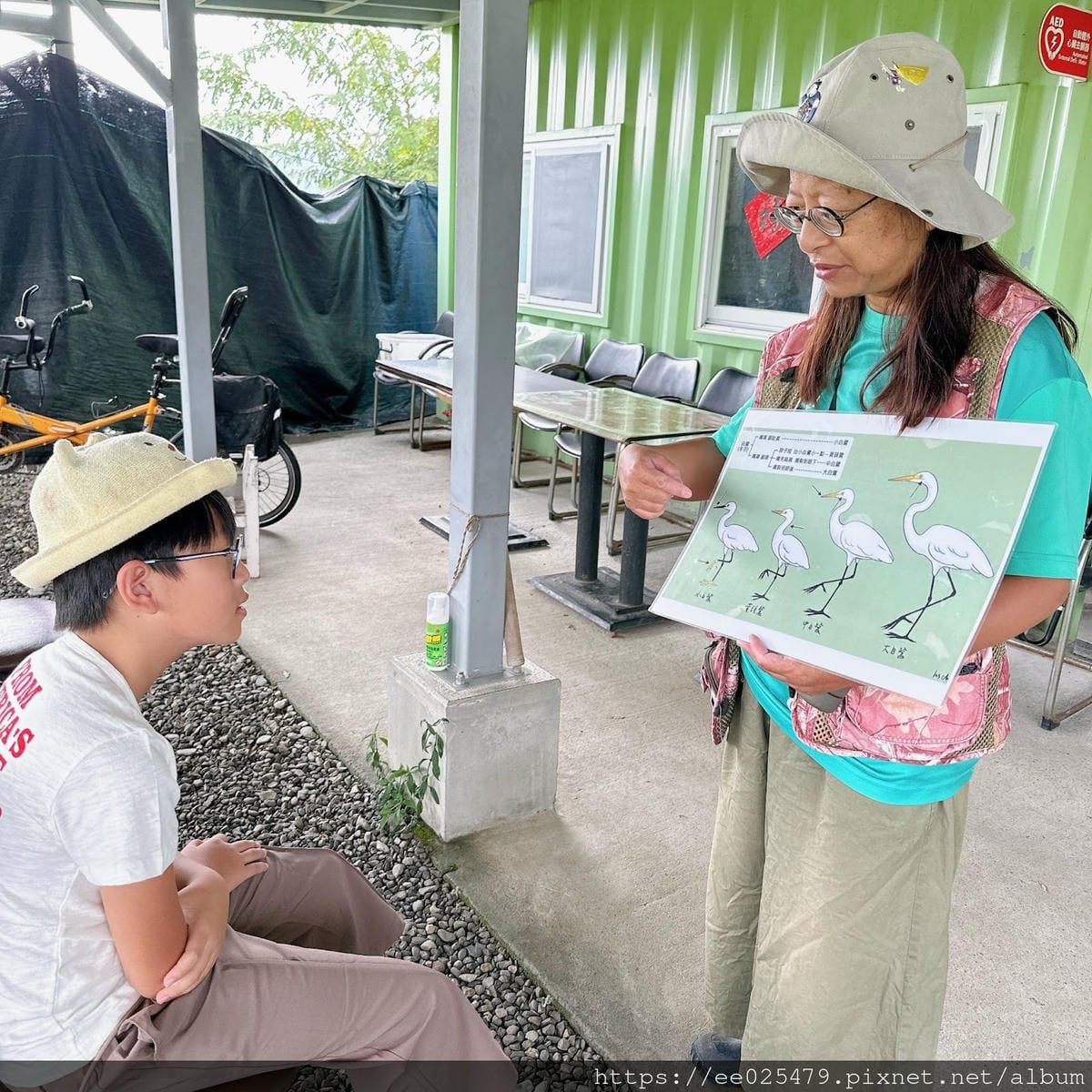 高雄免費親子活動推薦 美濃湖水雉生態觀察體驗活動/客家文物 高雄免費親子活動推薦 美濃湖水雉生態觀察體驗活動/客家文物