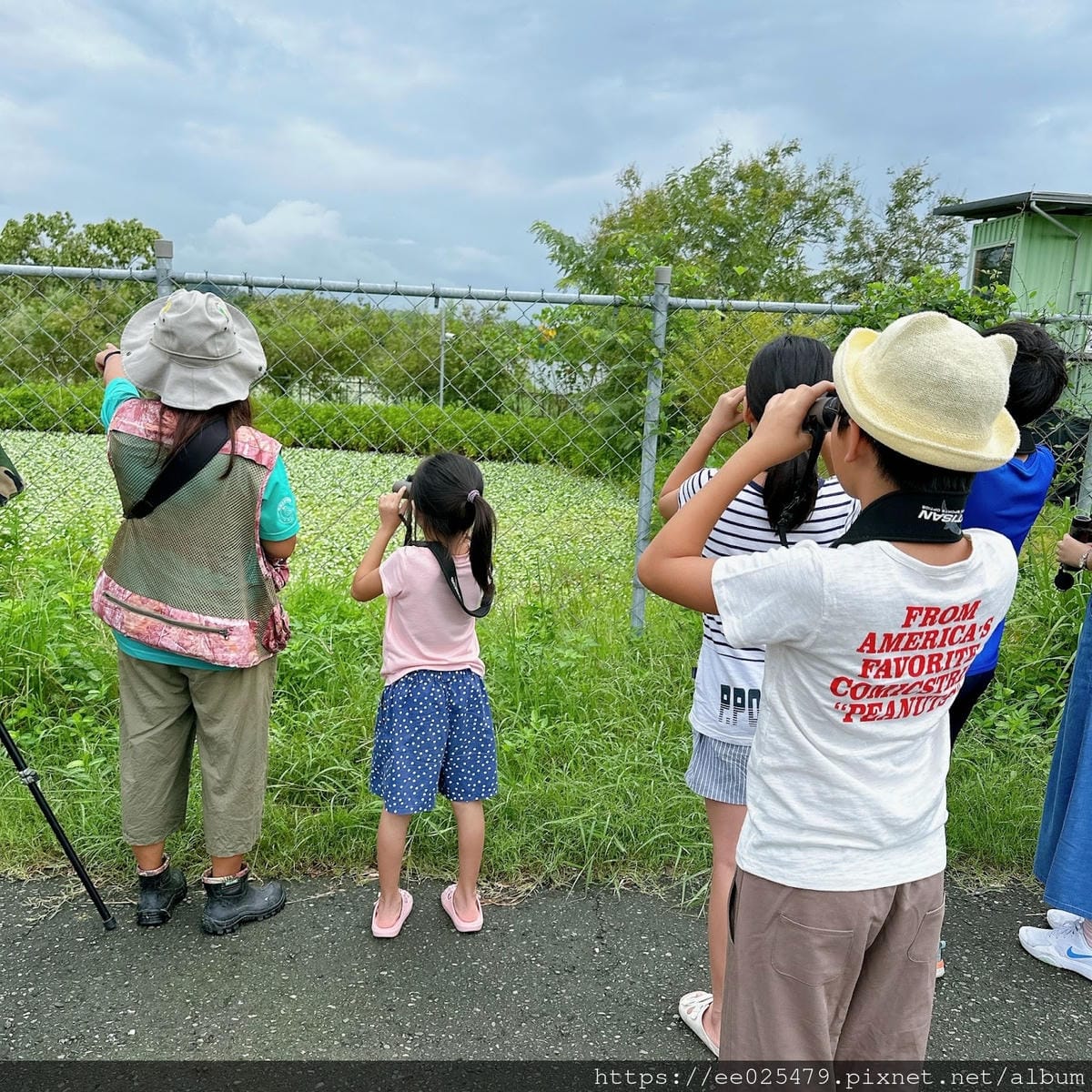 高雄免費親子活動推薦 美濃湖水雉生態觀察體驗活動/客家文物 高雄免費親子活動推薦 美濃湖水雉生態觀察體驗活動/客家文物