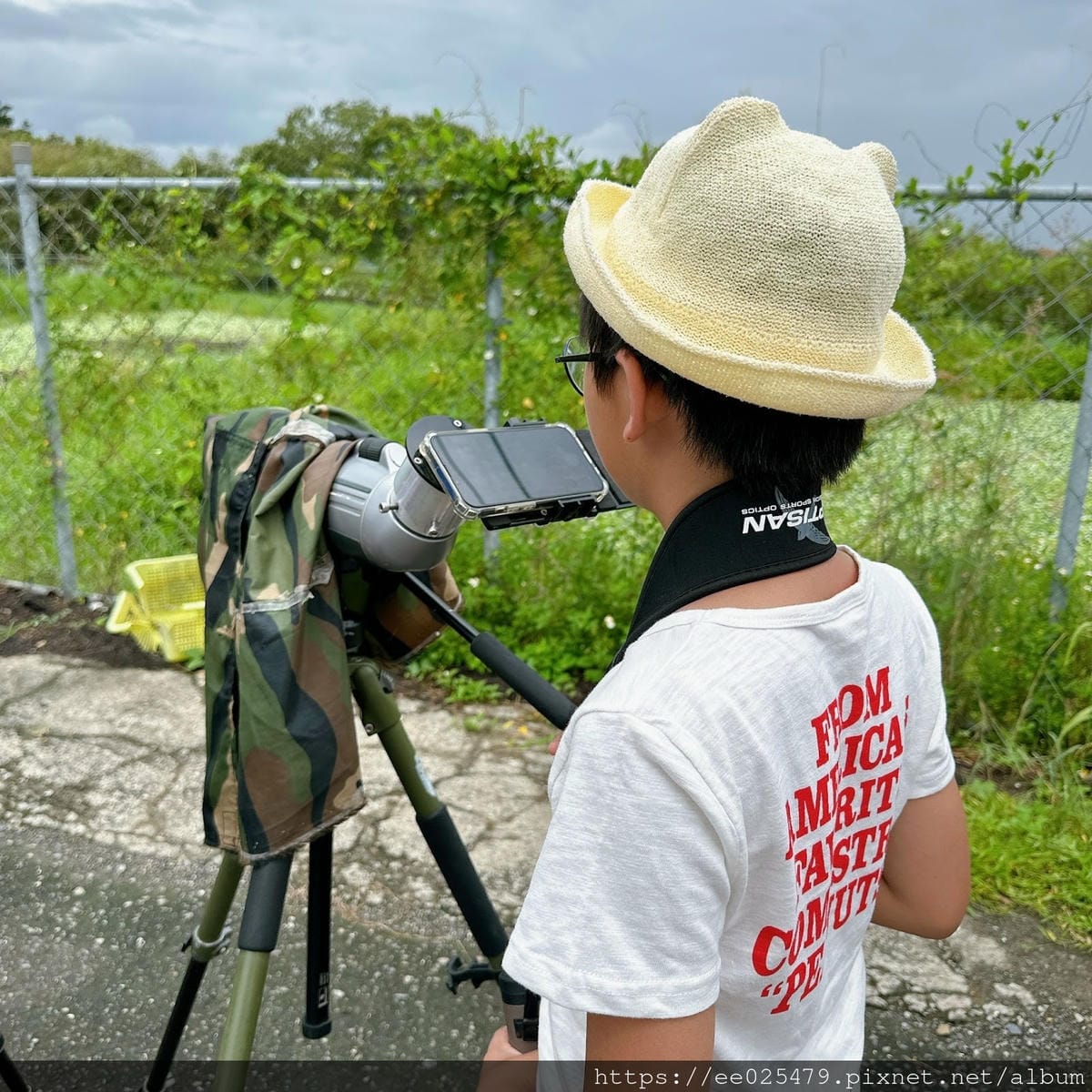 高雄免費親子活動推薦 美濃湖水雉生態觀察體驗活動/客家文物 高雄免費親子活動推薦 美濃湖水雉生態觀察體驗活動/客家文物