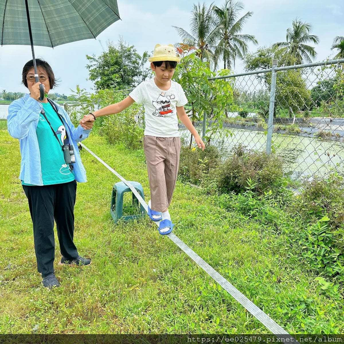 高雄免費親子活動推薦 美濃湖水雉生態觀察體驗活動/客家文物 高雄免費親子活動推薦 美濃湖水雉生態觀察體驗活動/客家文物