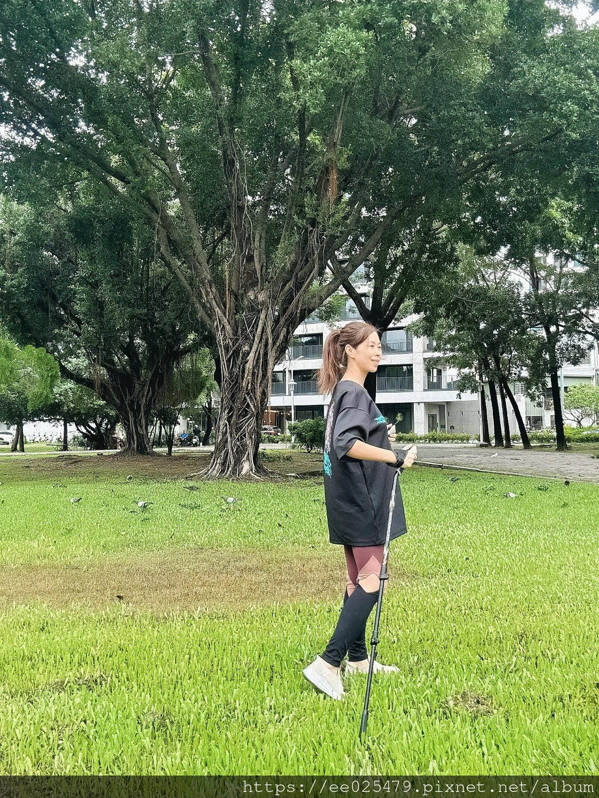 健走杖推薦 開箱ProPACER有輪子的健走杖,在都會區也能 健走杖推薦 開箱ProPACER有輪子的健走杖,在都會區也能