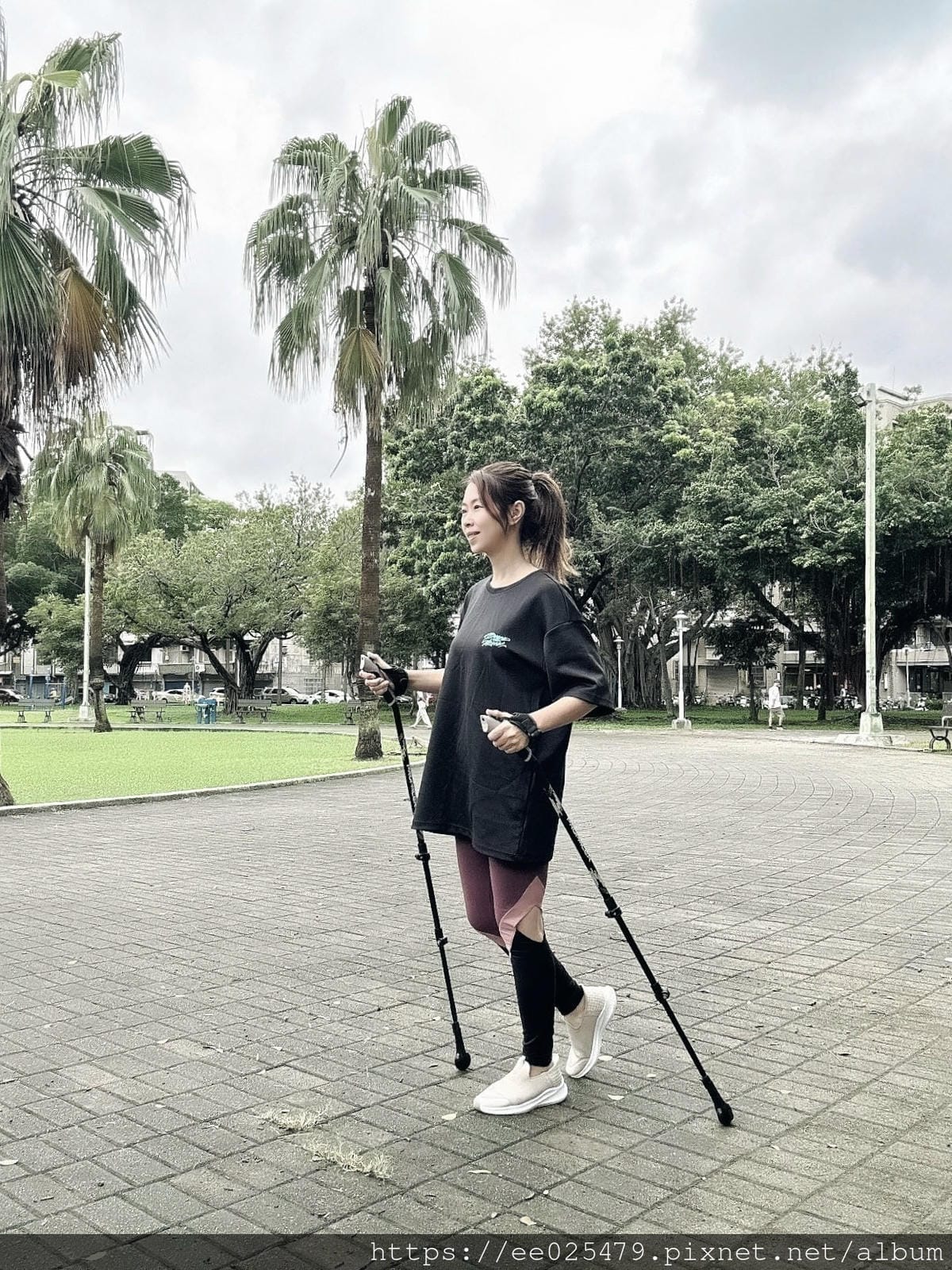 健走杖推薦 開箱ProPACER有輪子的健走杖,在都會區也能 健走杖推薦 開箱ProPACER有輪子的健走杖,在都會區也能