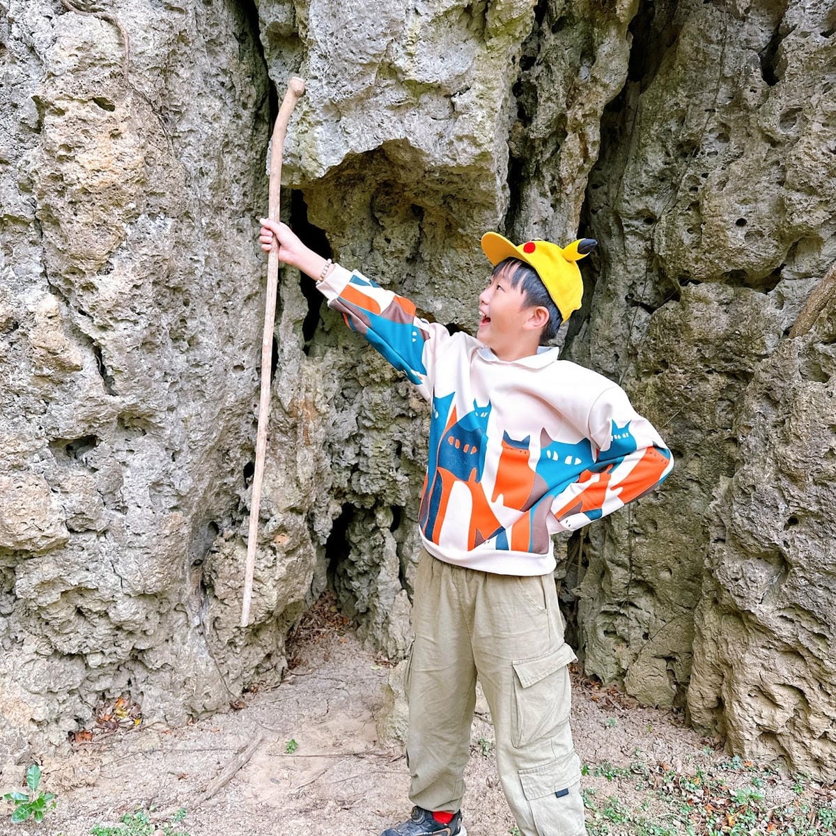 感受森林呼喊,一起到墾丁社頂公園深度旅遊,晚上再到港口社區找 感受森林呼喊,一起到墾丁社頂公園深度旅遊,晚上再到港口社區找
